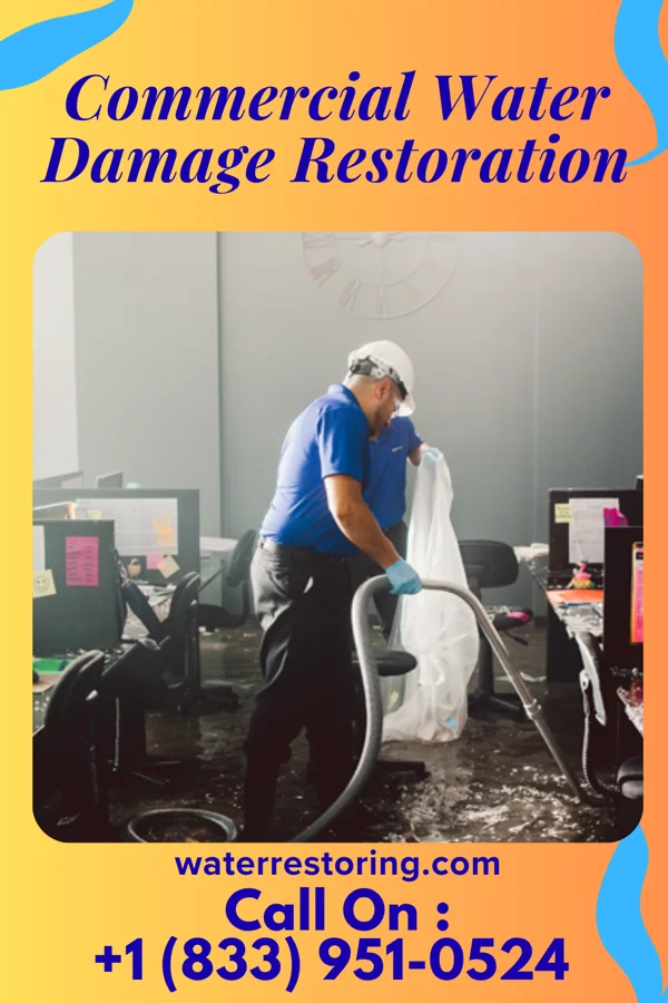 Commercial Water Damage Restoration in Harding, MN